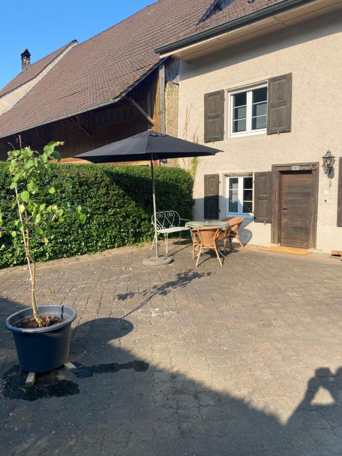 Ruhige 2 Zimmer Wohnung Diegten Bagian luar foto